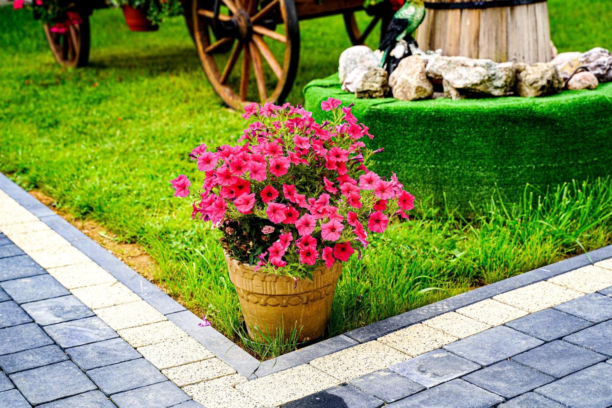 Gosciniec Kukulka Z Jacuzzi Bed & Breakfast Закопане Екстериор снимка
